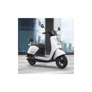 Home Deluxe E-Roller MICK 45 km/h