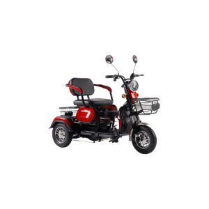 ENEWAY Elektromobil Bari - ETrike - E-Mobil - 3-Rad 6 km/h führerscheinfrei helmfrei rot