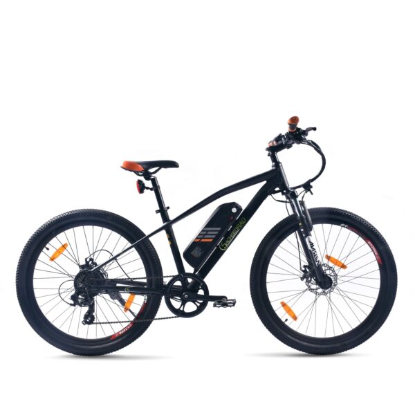 SachsenRad E-Racing Mountain Bike R6 500Wh 13