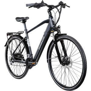 Zündapp Z810 E Bike Trekkingrad Herren ab 160 cm mit 24 Gängen und Beleuchtung StVZO