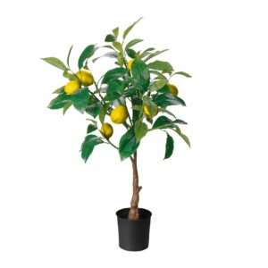 Amarehome Dekopflanze Zitronenbaum im Topf 70 cm