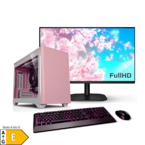 PC Set mit 23.8 Zoll TFT Zindarella AMD Ryzen 5 4600G