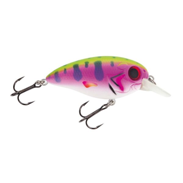 Jackson Barschwobbler 5.3 Rainbow Trout Wobbler Barschangeln