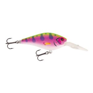 Jackson Barschwobbler 6.0 Rainbow Trout Wobbler Barschangeln