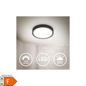 LED Deckenlampe 12W schwarz matt 4.000K 25cm