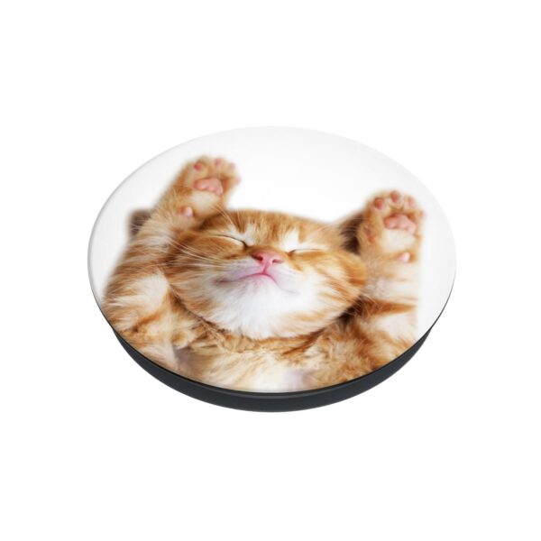 PopSockets PopSockets Basis Schmusekatze