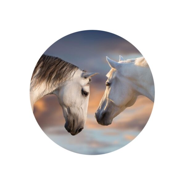 PopSockets PopSockets Basic Sunset Horses