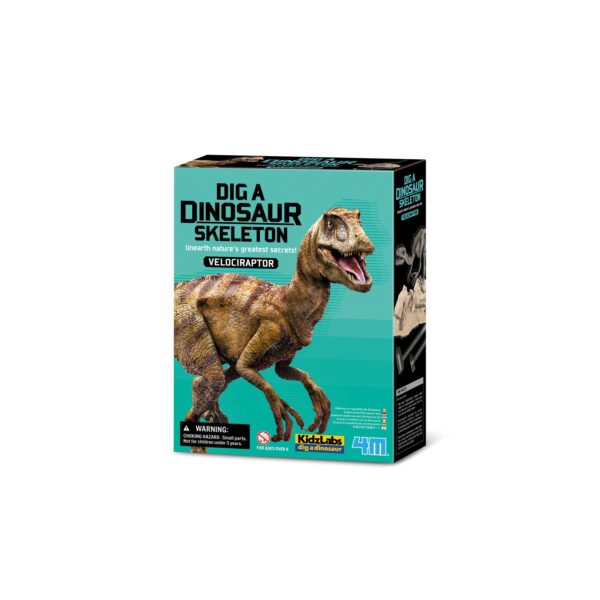 4M KidzLabs - Dinosaurier Ausgrabung Velociraptor